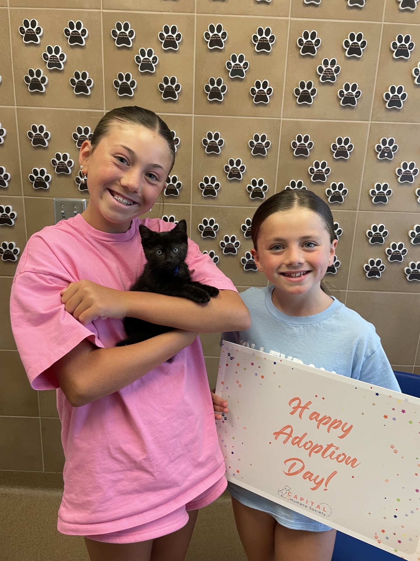 Cat Adoption Preparation