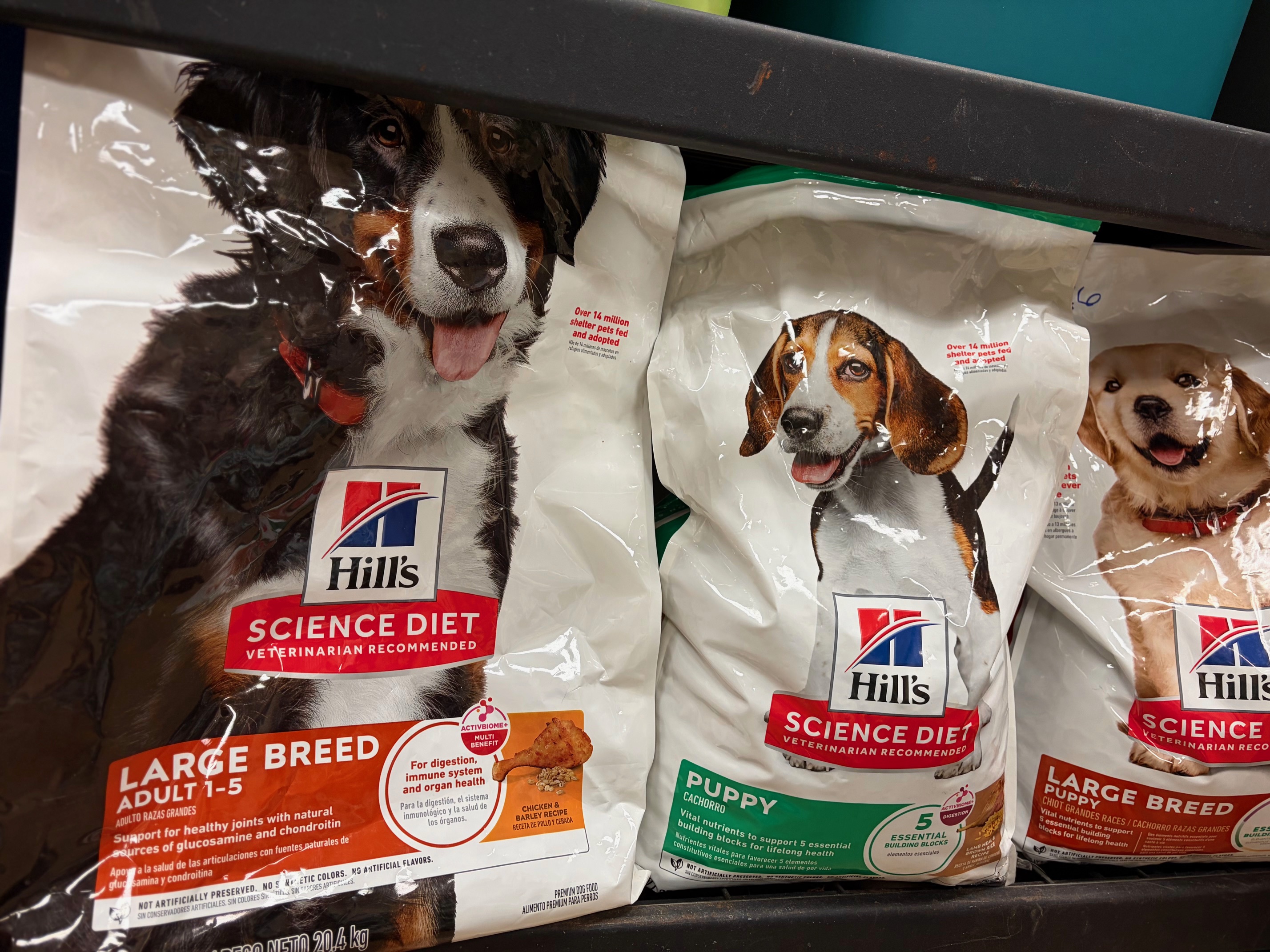 Bag of Food or Canned Food