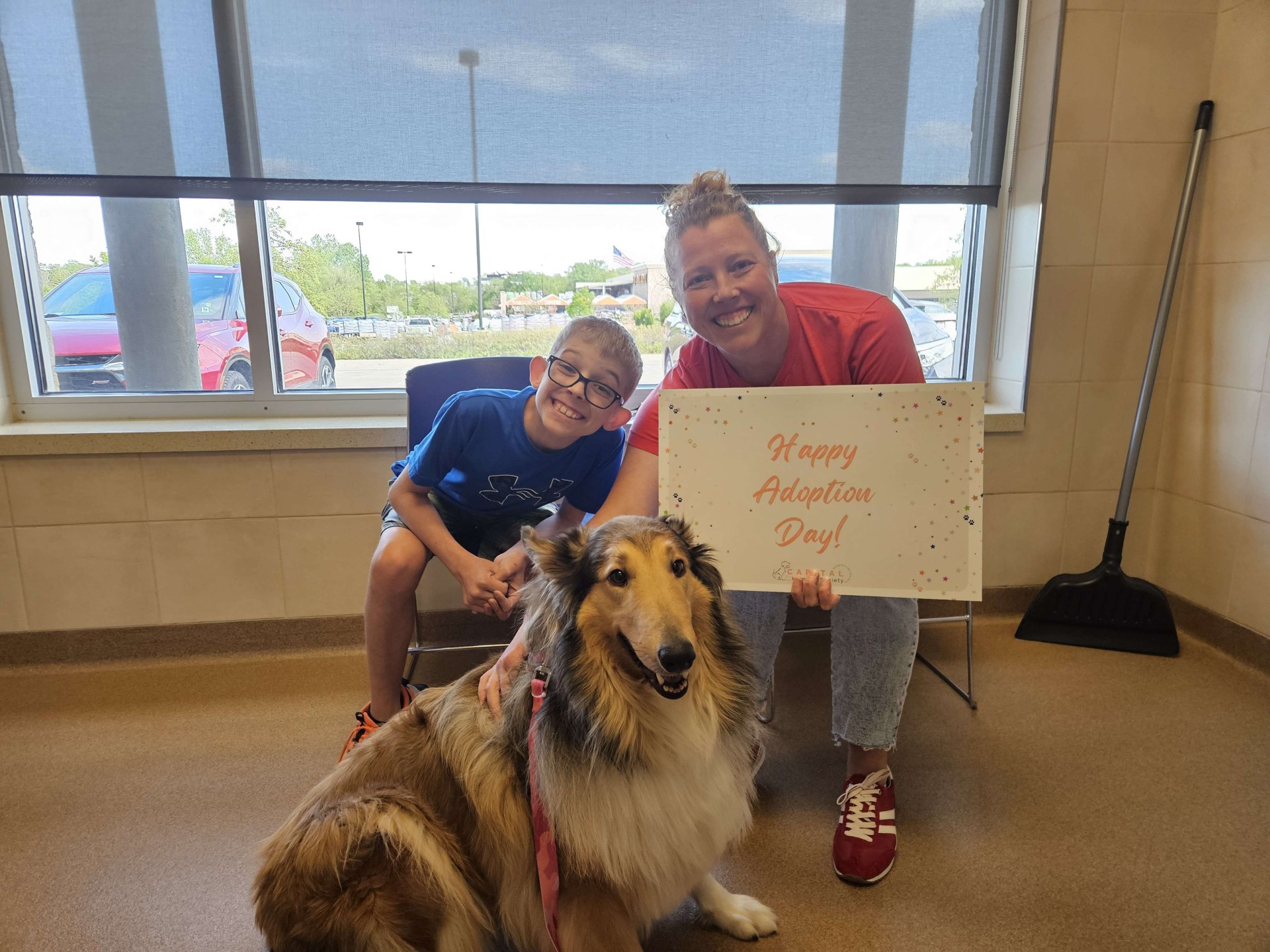 Dogs Adoption Preparation