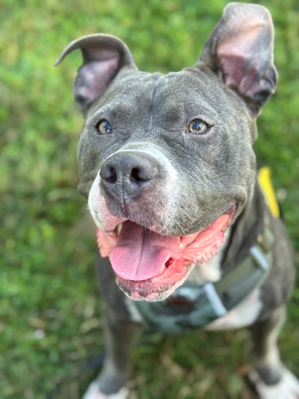 Venus - Call 402-441-4490 To Meet!