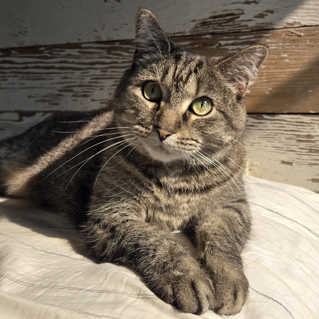 Hermione - Call 402-473-5377 To Meet!