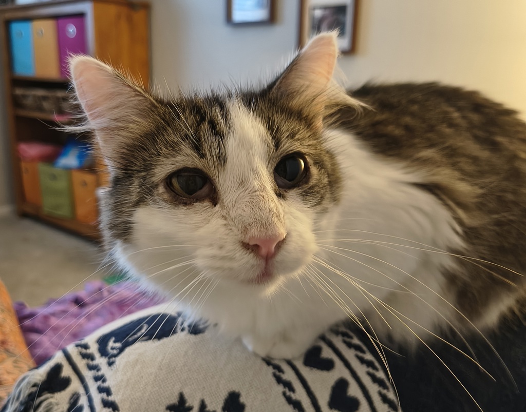 Holly- Call 402-441-4490 To Meet!