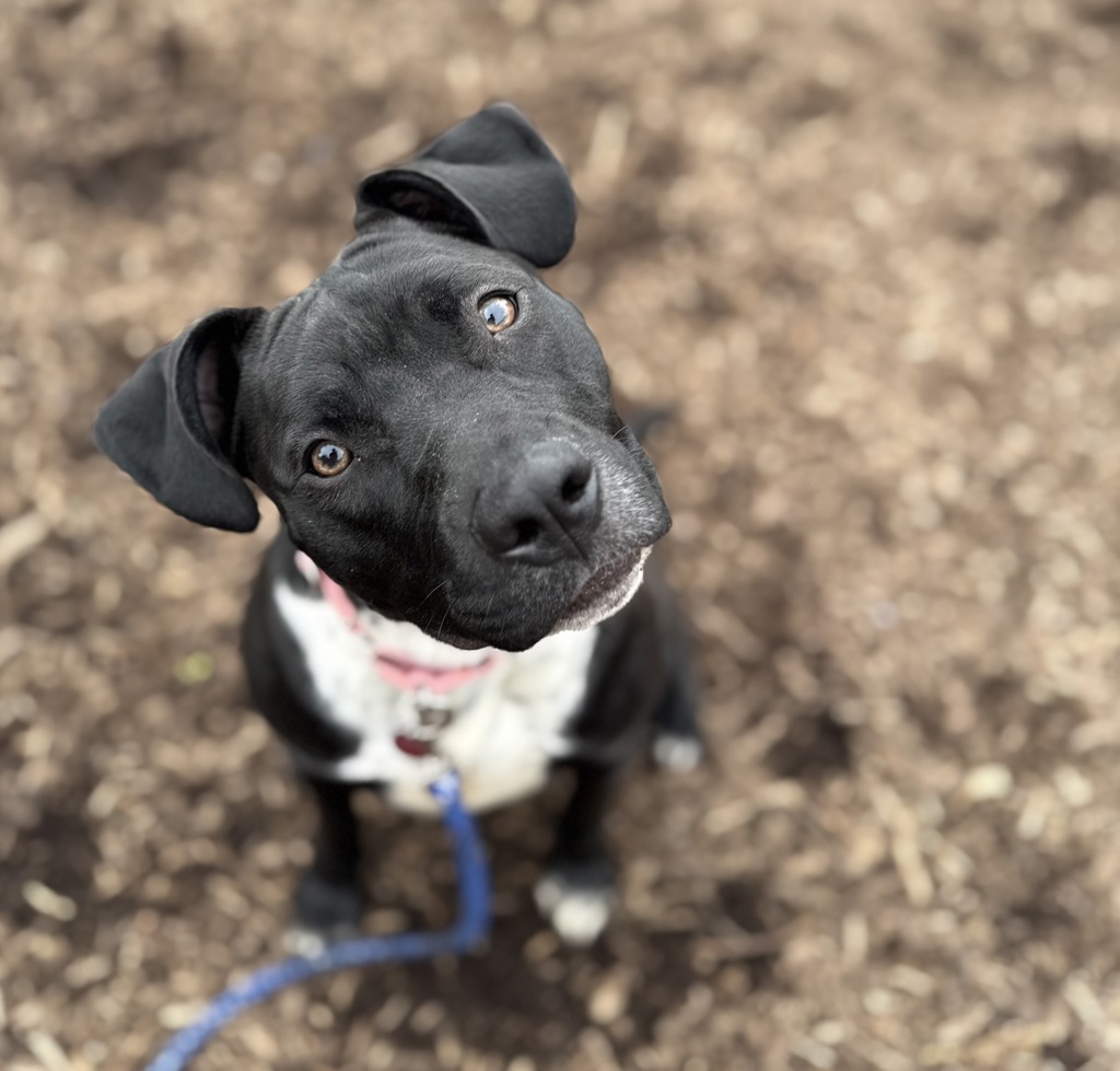Kietra- Call 402-441-4490 To Meet