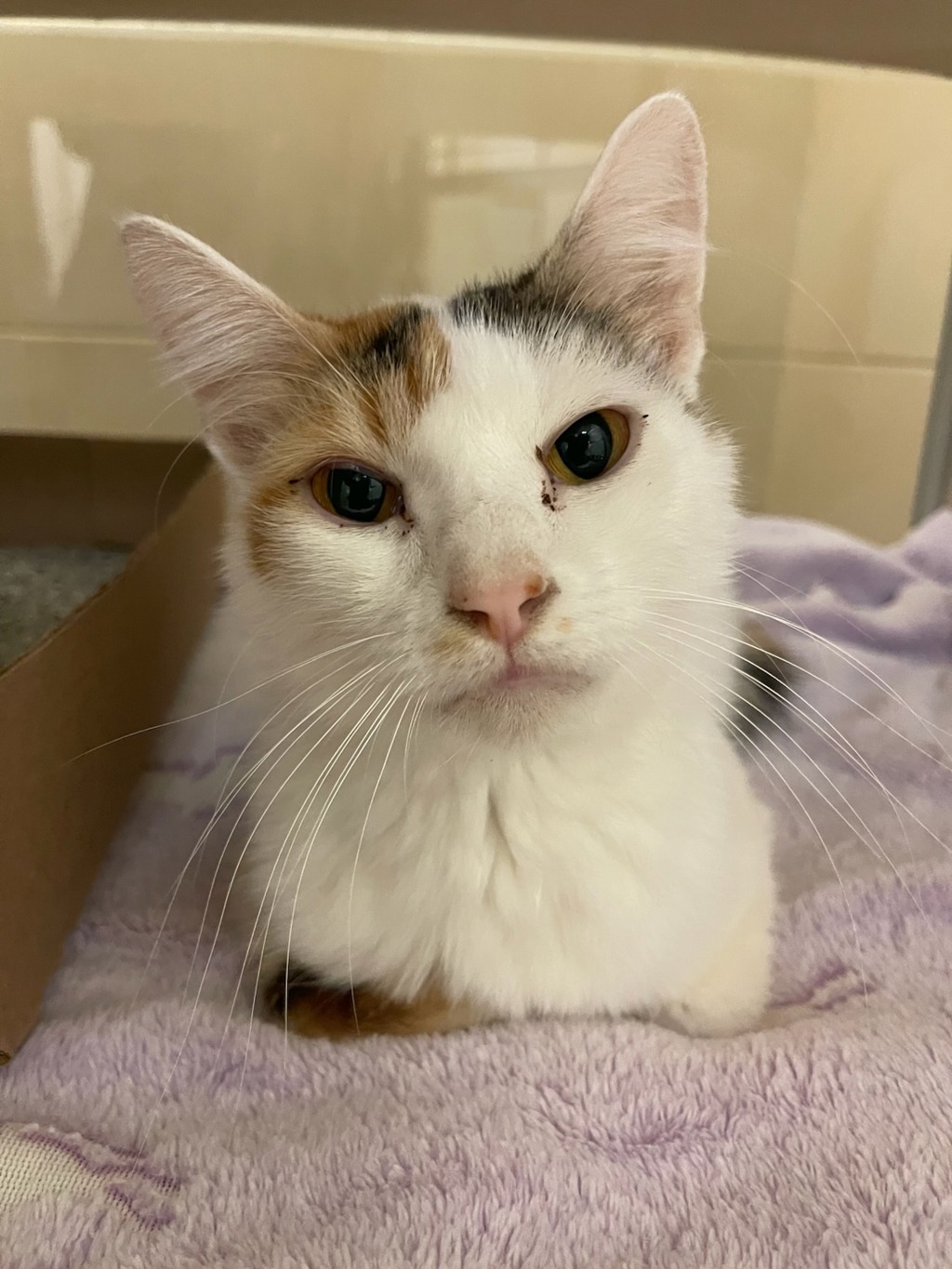 Fiona