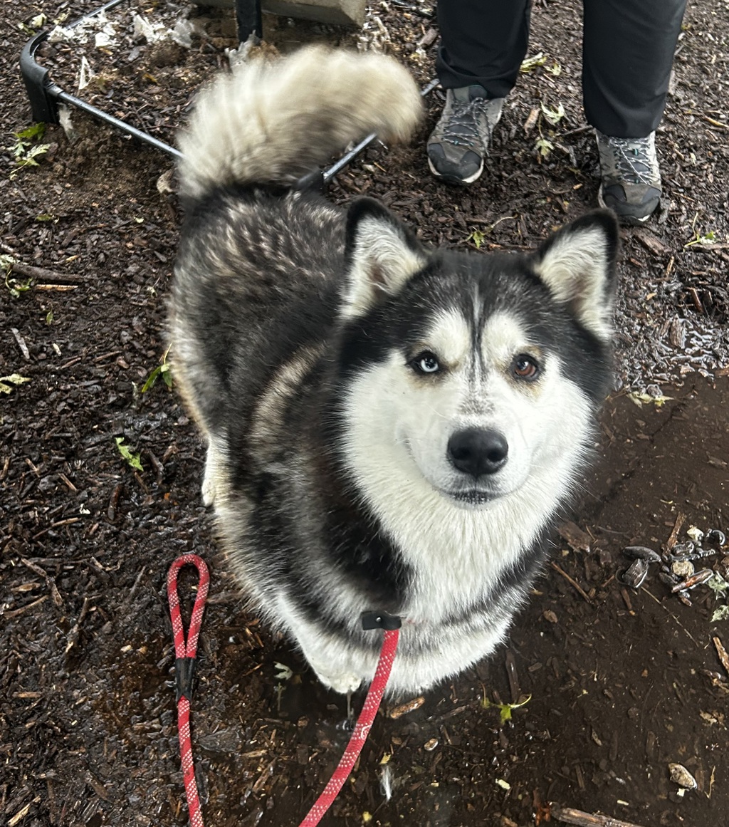 Mariah -Call 402-473-5377