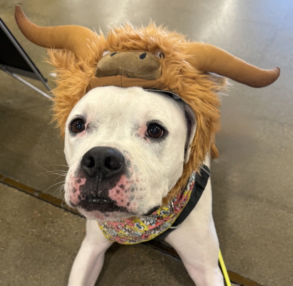 Hutch-Call (402) 441-4490 To Meet Me!