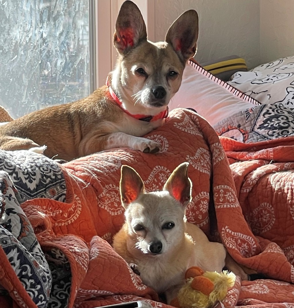 Pinky & Australia Call 402-473-5377 To Meet!