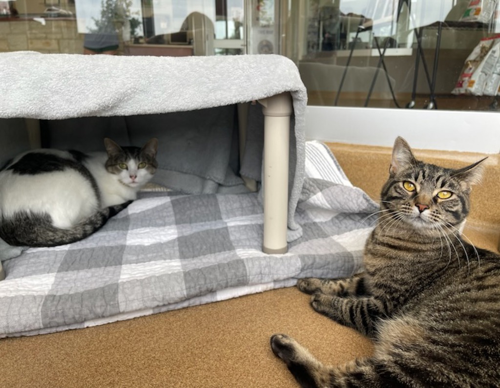 Sandy & Randy (Perfect Pair)