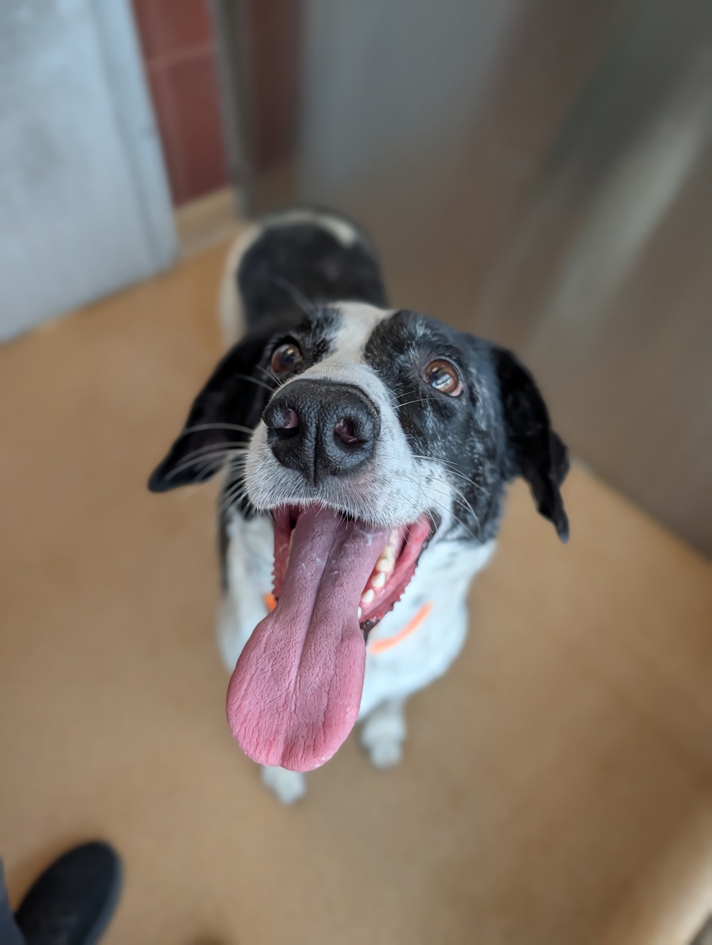 Nali