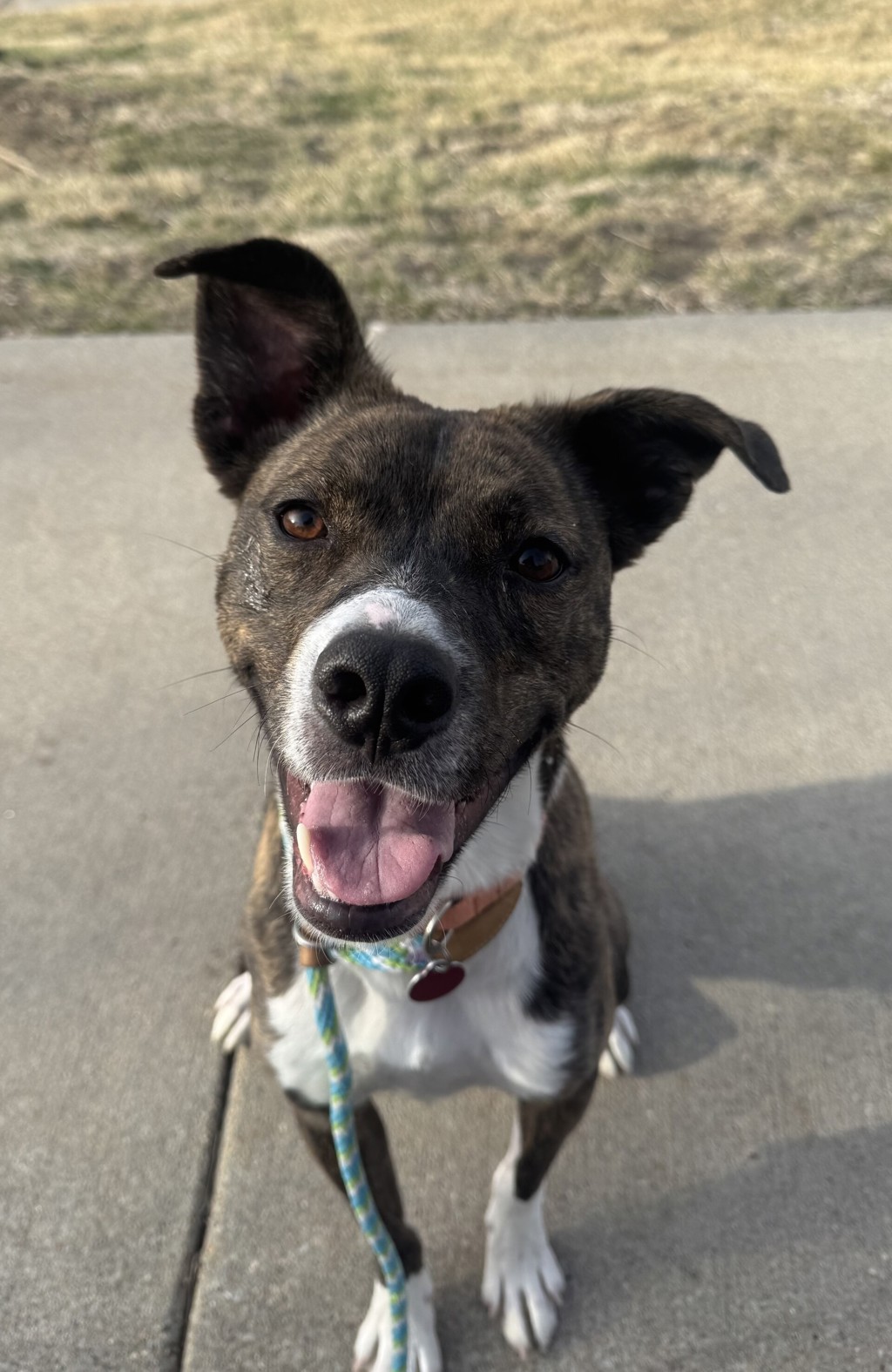 Kingston- Call 402-473-5377 To Meet!