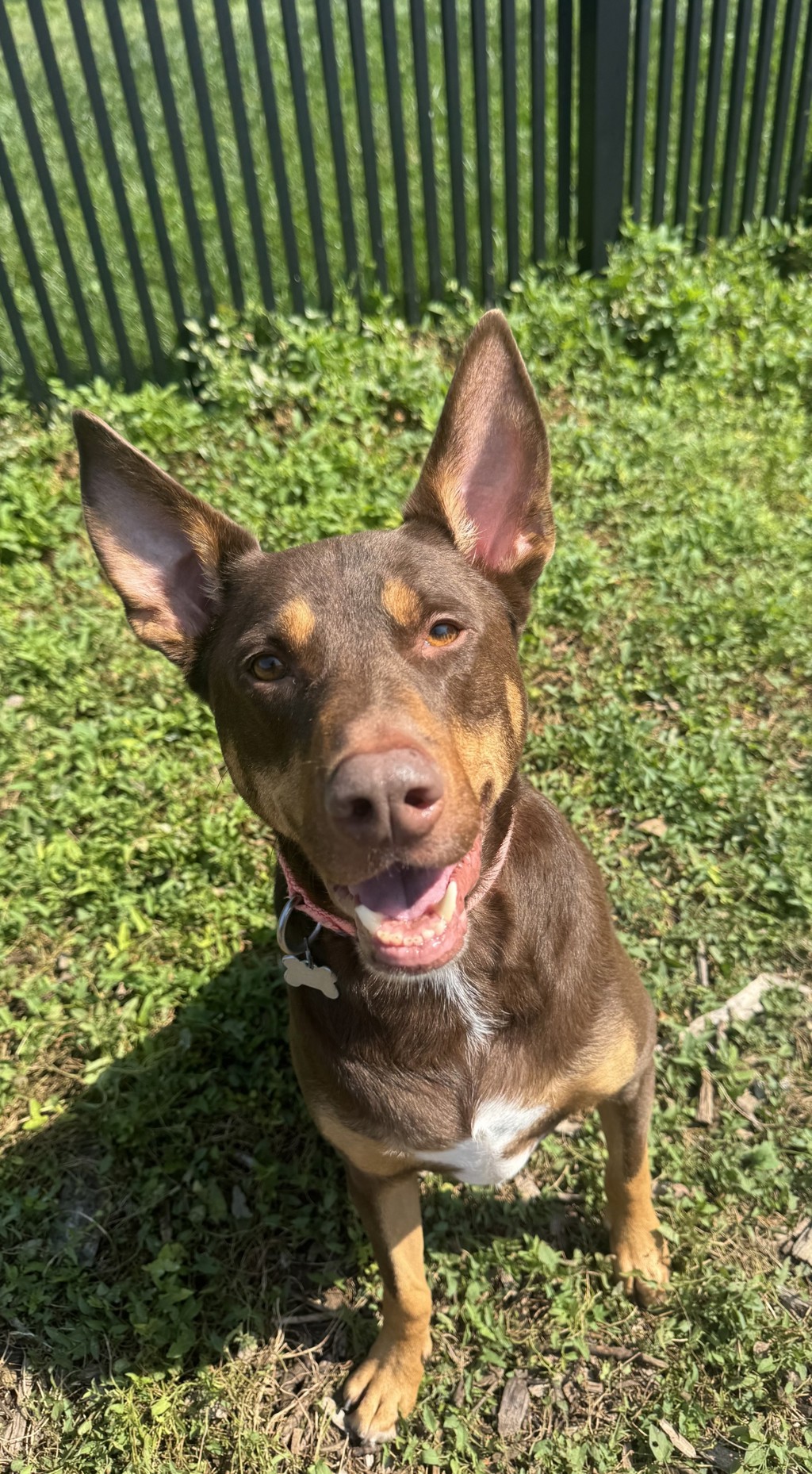 Odin 