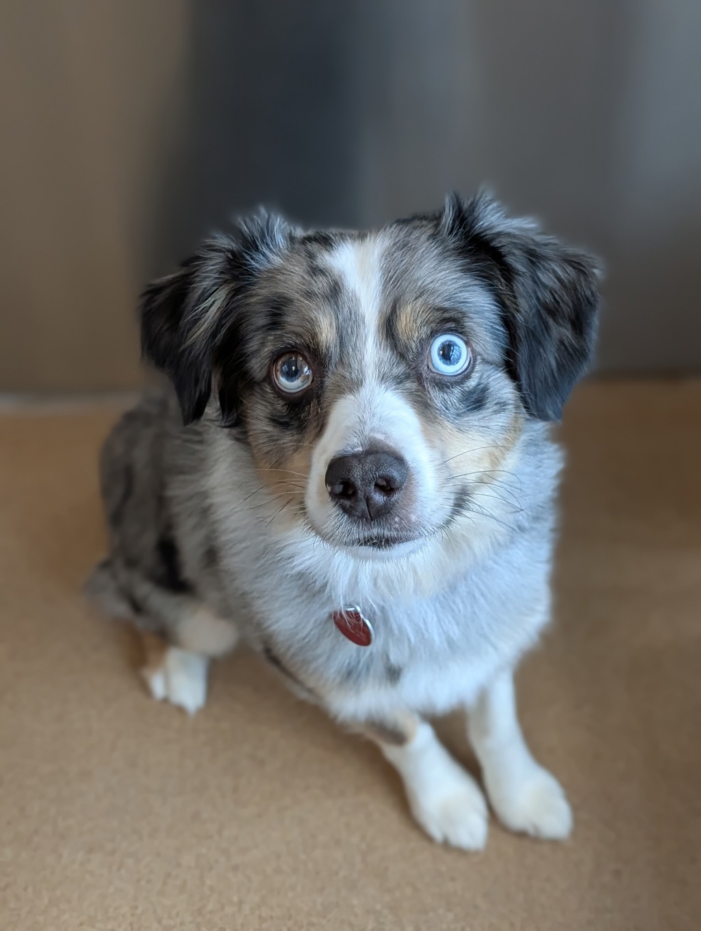 Ruger