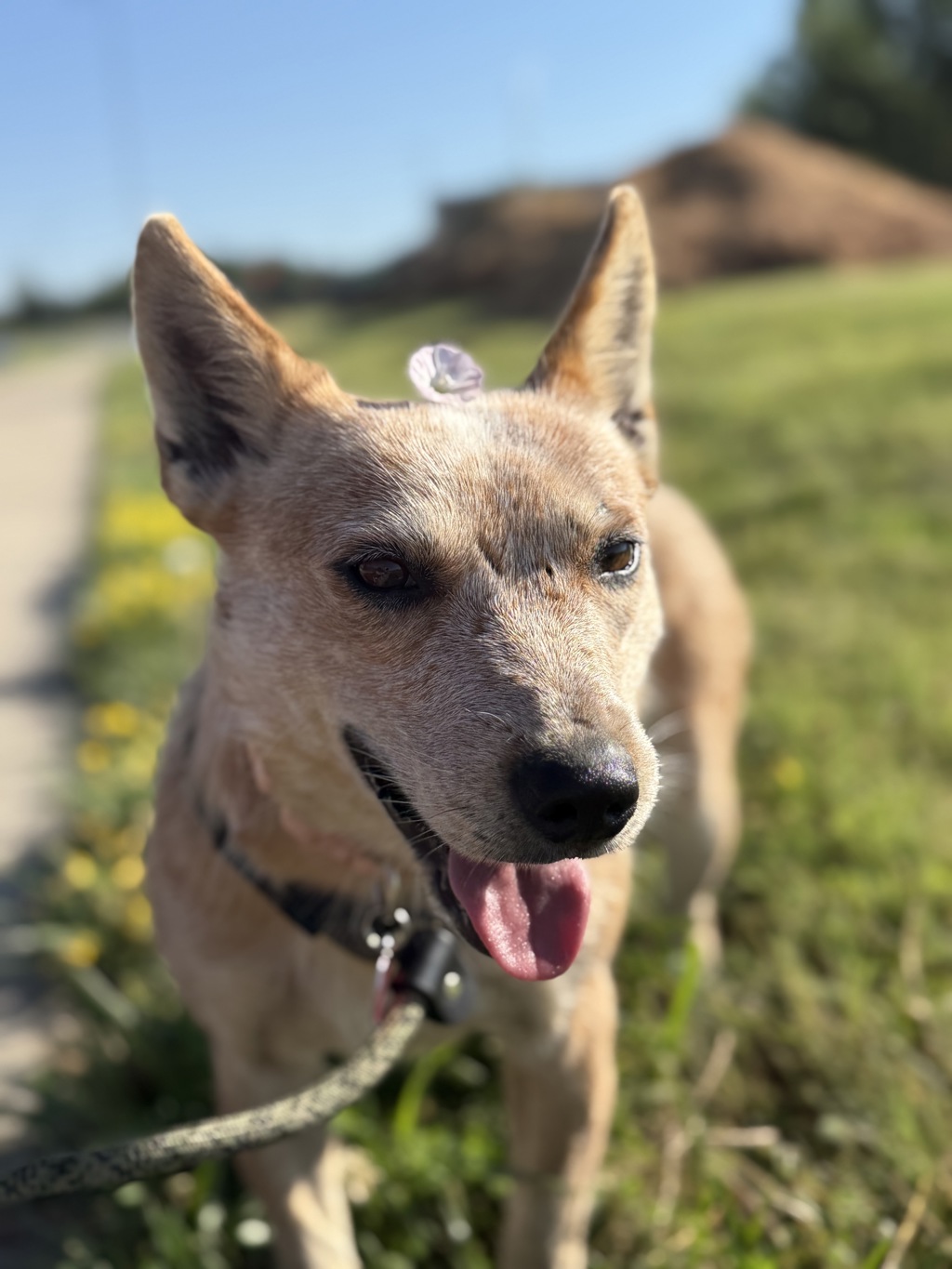 Tinker