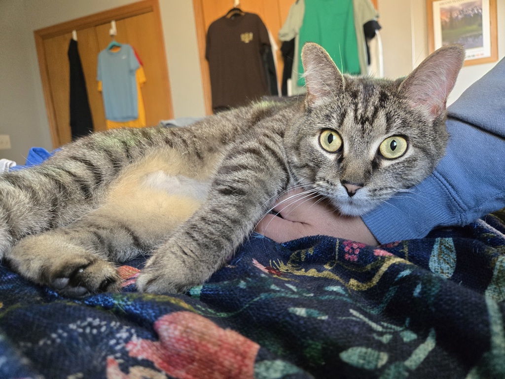 Hermione- Please Call 402-473-5377 To Meet!