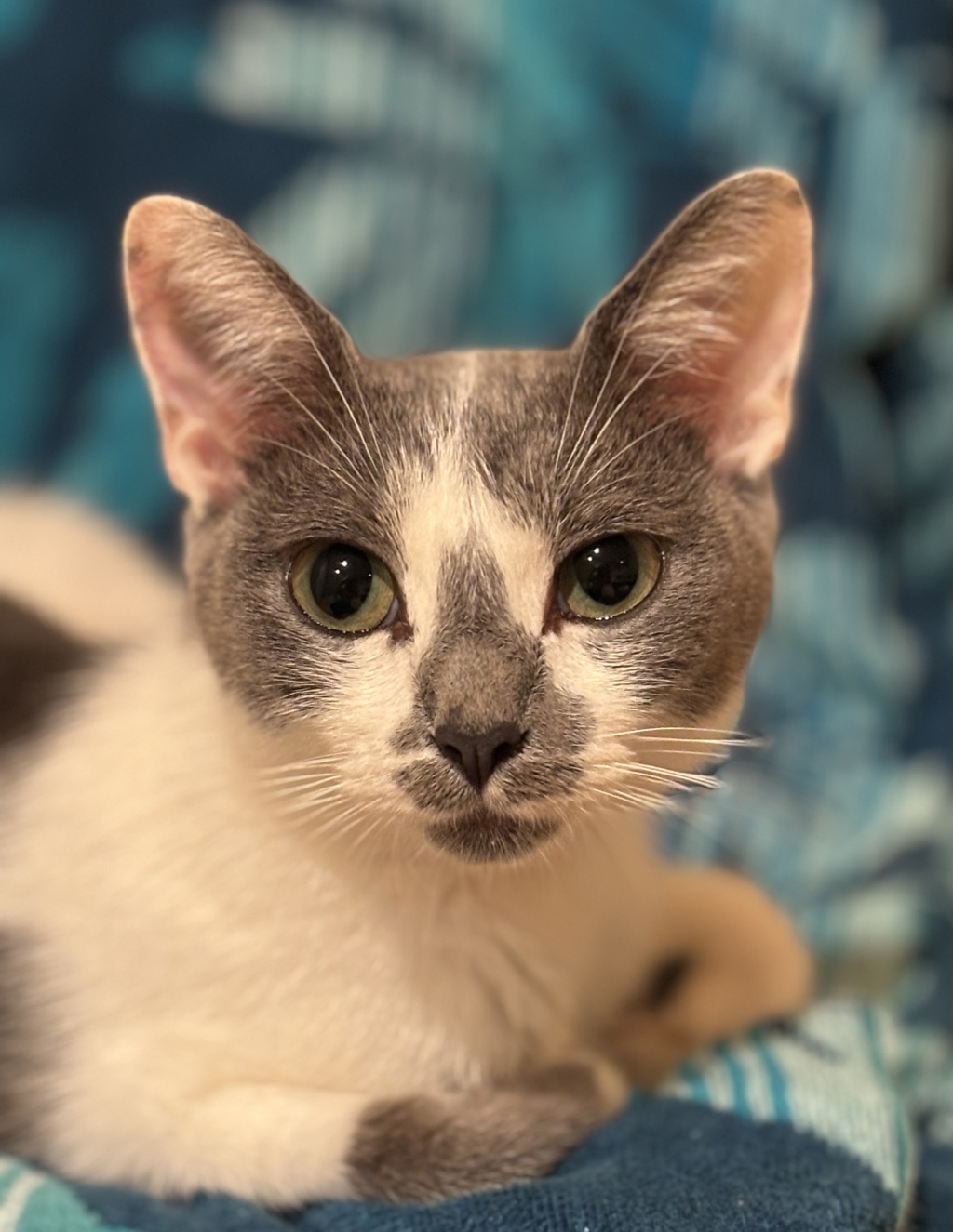 Luna