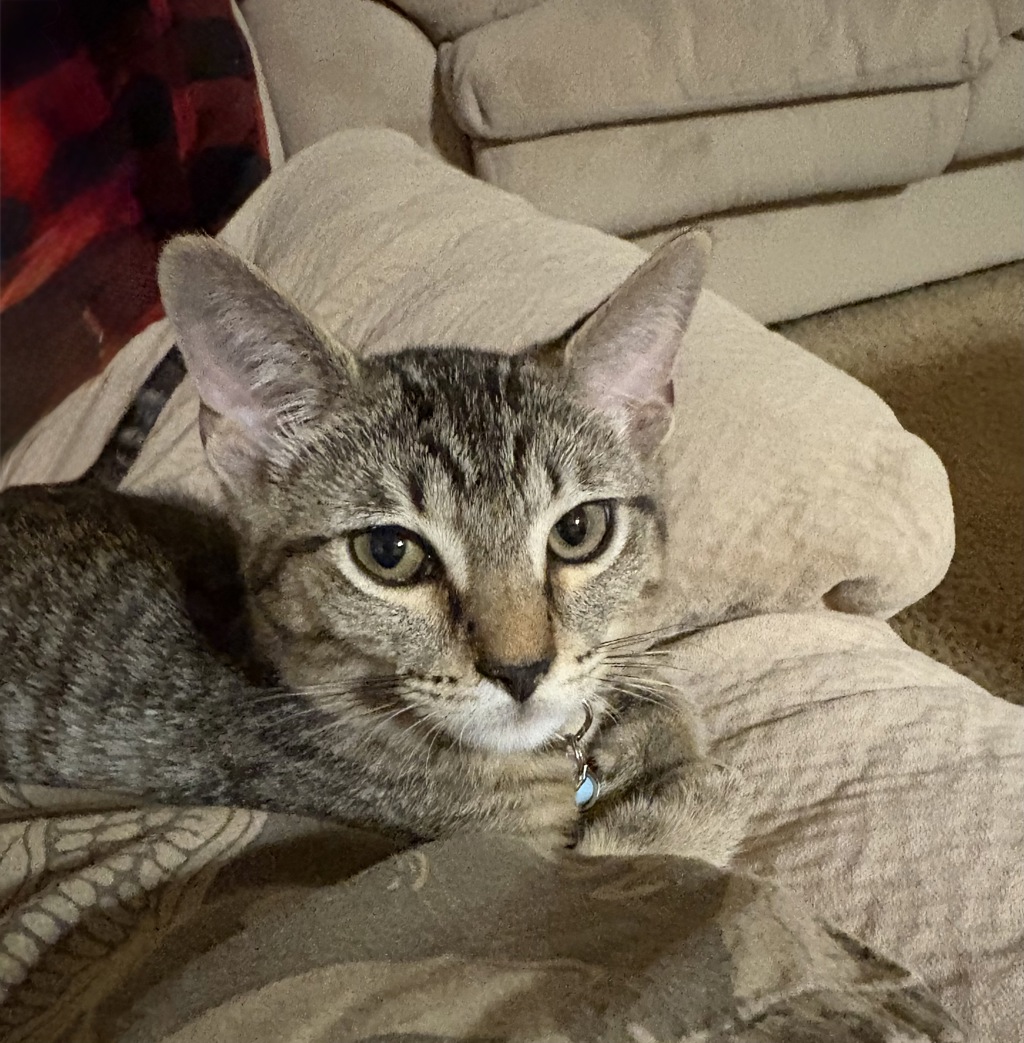 Tuna