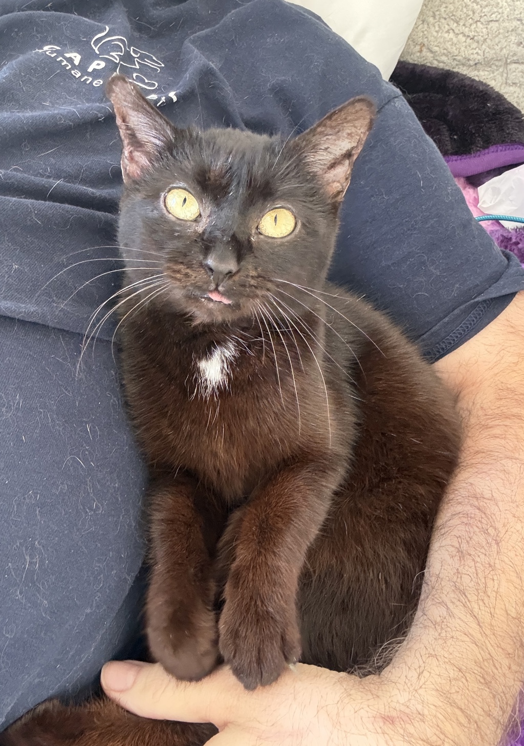 Ember To Meet Please Call 402-473-5377