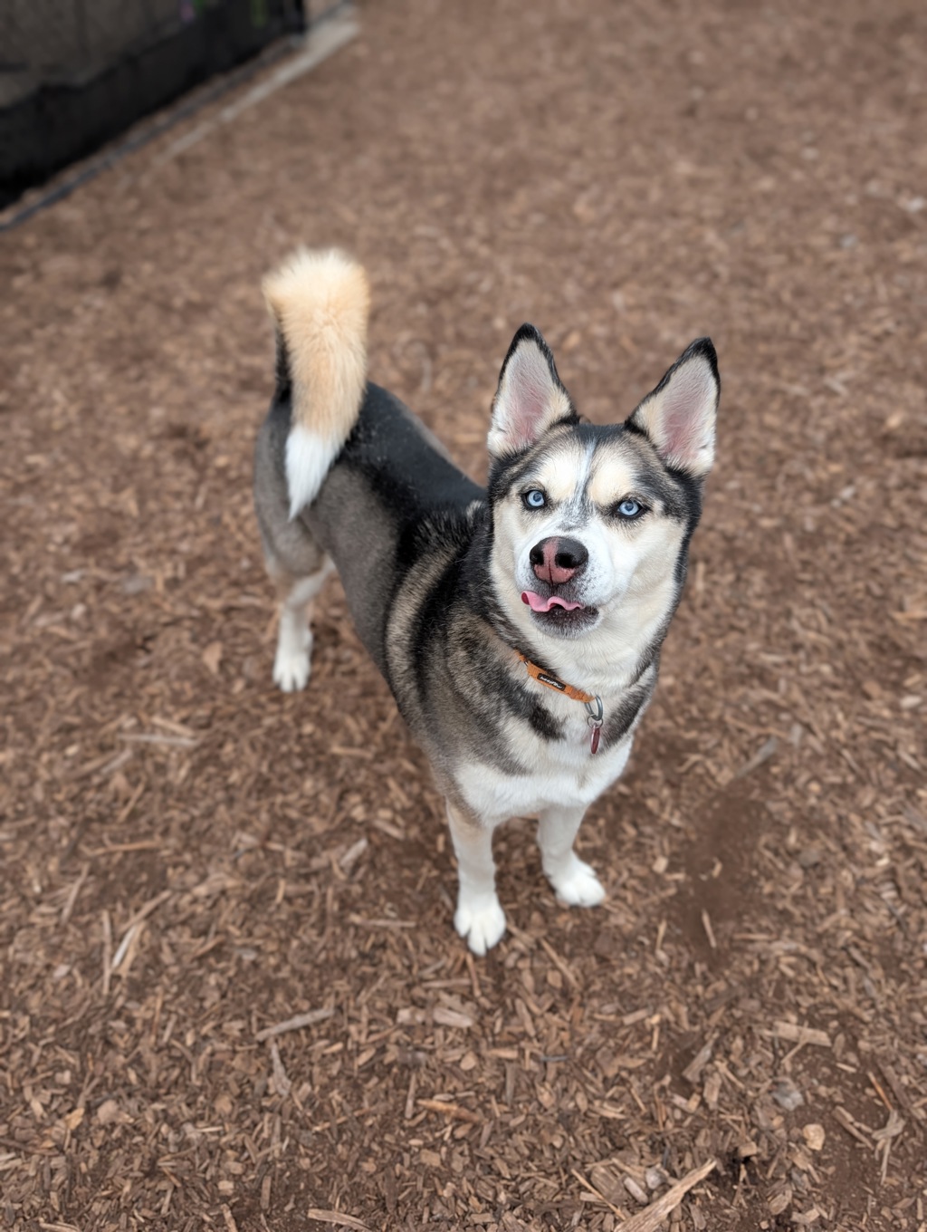 Husker