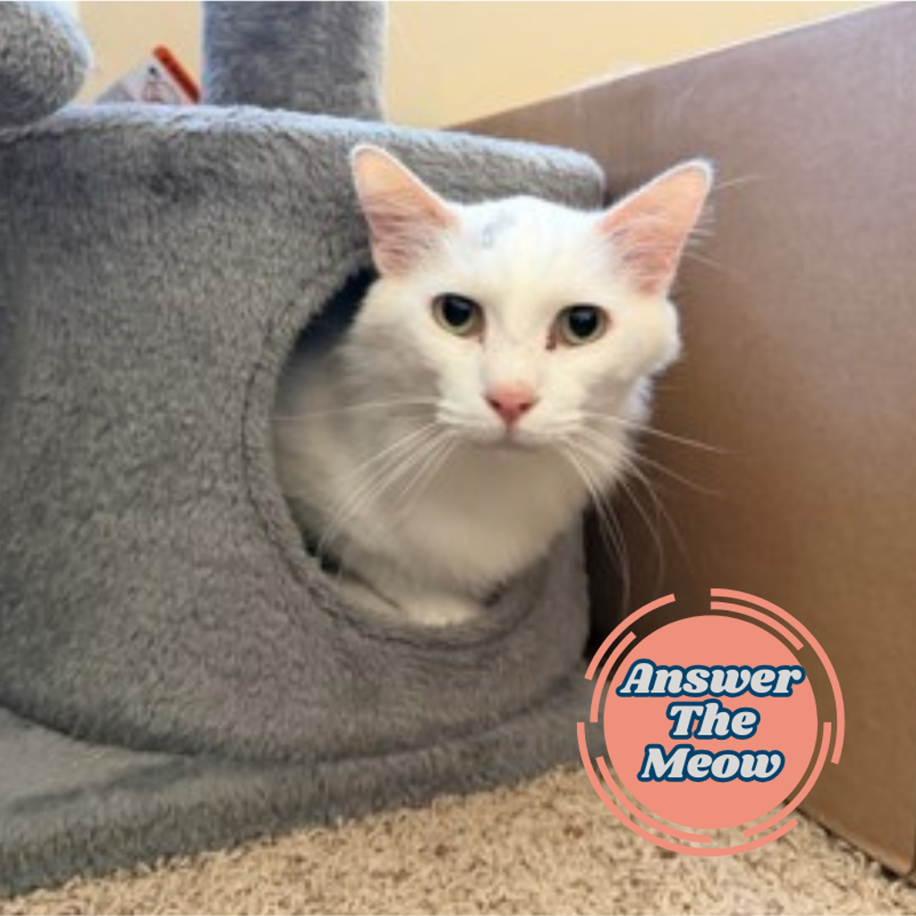 Spotify- Call 402-473-5377 To Meet!