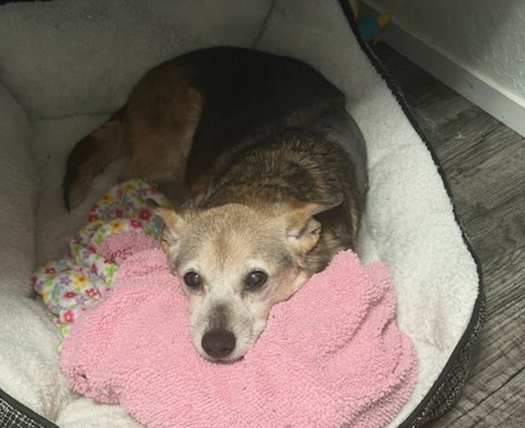 Arthur - Please Call (402) 441-4490 To Meet!