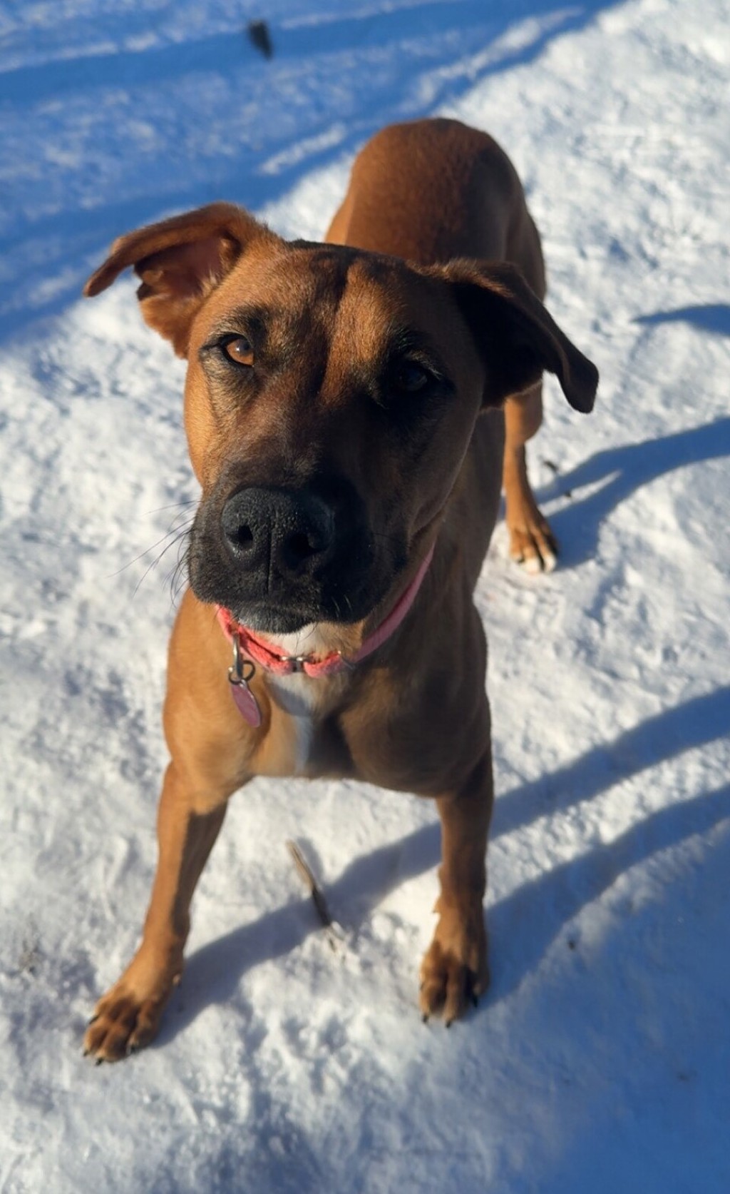 Saffron - Call (402) 473-5377 To Meet Me!