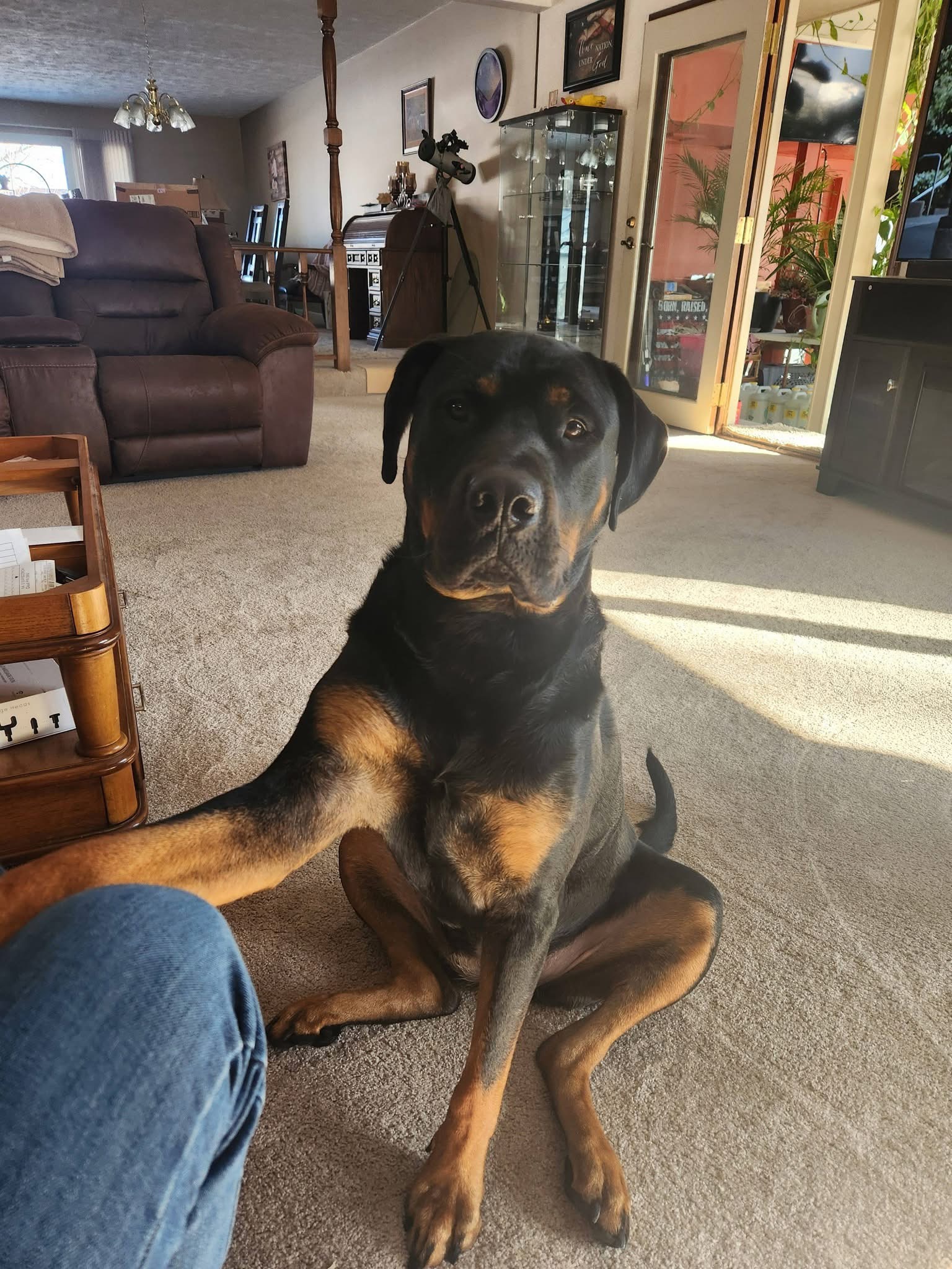 Indigo