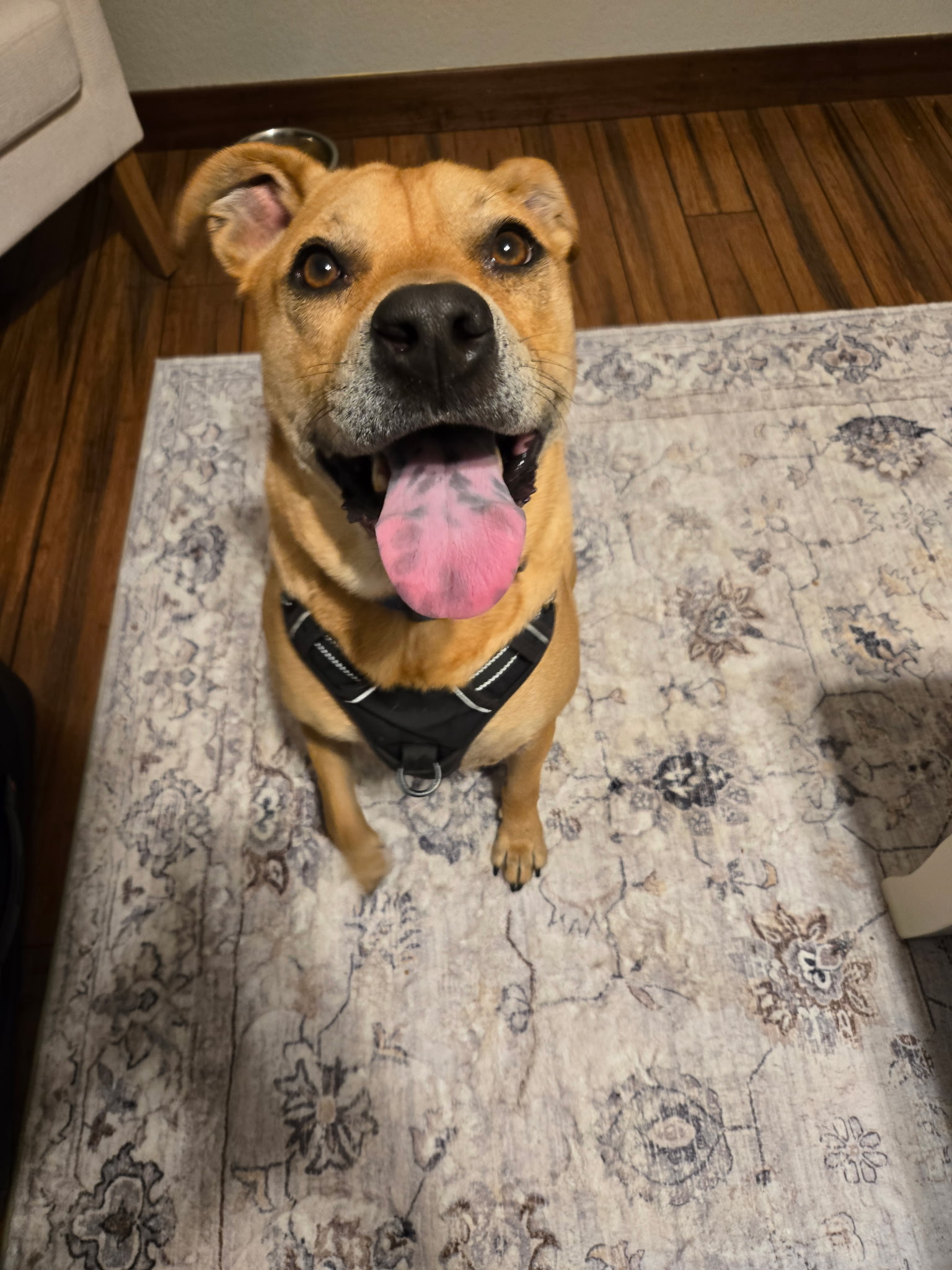 Diego