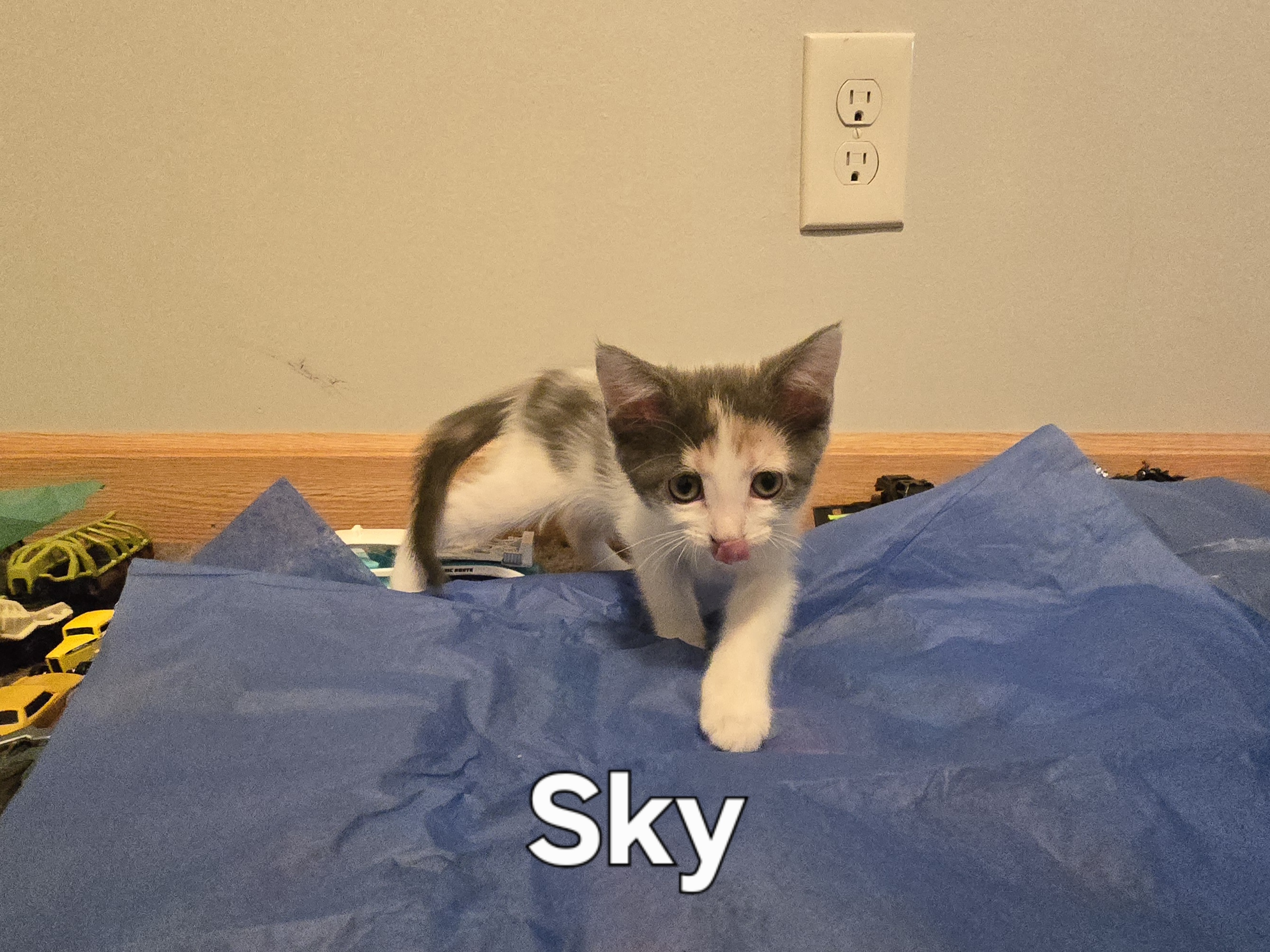 Sky