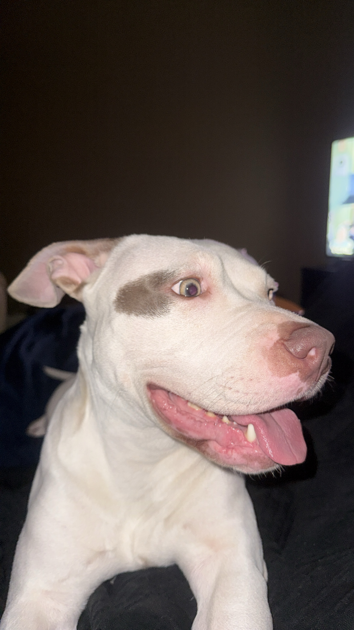 Ruby