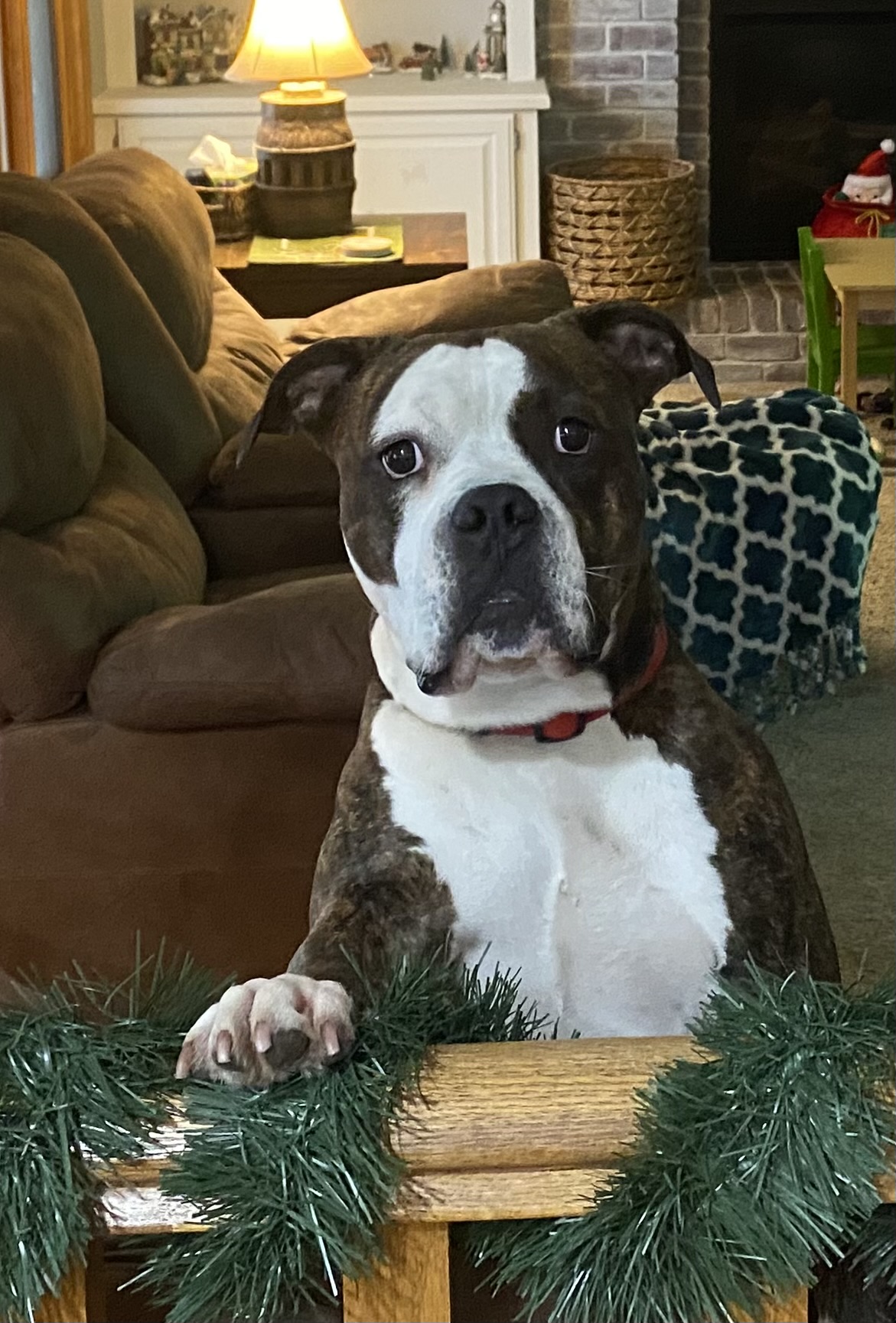 Bowser